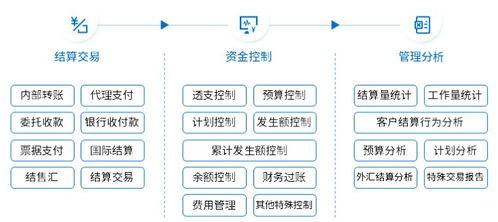 集团司库管理信息系统规划 方案概设篇